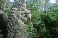A-facinationg-example-of-the-carving-artistry-of-a-Dragon-at-the-Monkey-Forest-scantuary1-200x130